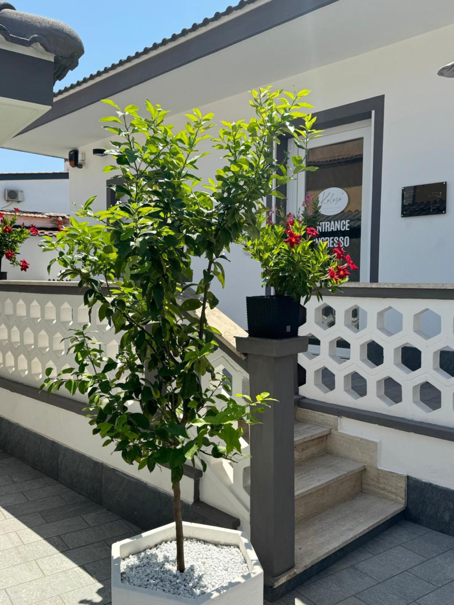 Kalaso Design Guest House - Rome Airport Fiumicino Exterior photo
